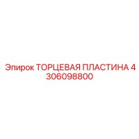 4306098800 ТОРЦЕВАЯ ПЛАСТИНА Epiroc