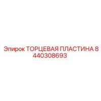 8440308693 ТОРЦЕВАЯ ПЛАСТИНА Epiroc