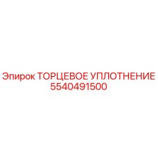 5540491500 ТОРЦЕВОЕ УПЛОТНЕНИЕ Epiroc