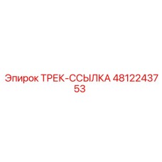 4812243753 ТРЕК-ССЫЛКА Epiroc