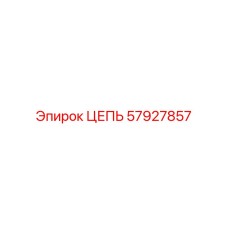 Цепь для систем подачи буровых штанг 57927857 Epiroc