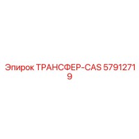 57912719 ТРАНСФЕР-CAS Epiroc