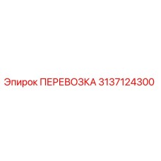 3137124300 ПЕРЕВОЗКА Epiroc