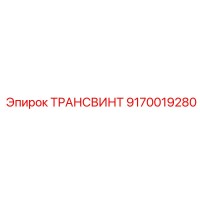 9170019280 ТРАНСВИНТ Epiroc