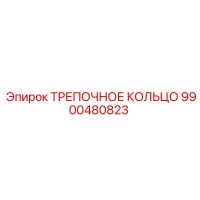 9900480823 ТРЕПОЧНОЕ КОЛЬЦО Epiroc