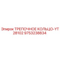 9753238834 ТРЕПОЧНОЕ КОЛЬЦО-YT28102 Epiroc