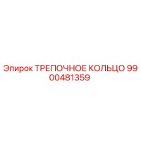 9900481359 ТРЕПОЧНОЕ КОЛЬЦО Epiroc