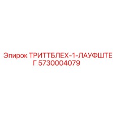5730004079 ТРИТТБЛЕХ-1-ЛАУФШТЕГ Epiroc