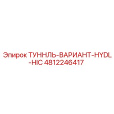 4812246417 ТУННЛЬ-ВАРИАНТ-HYDL-HIC Epiroc