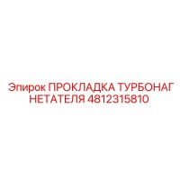 4812315810 ПРОКЛАДКА ТУРБОНАГНЕТАТЕЛЯ - Epiroc