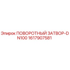 1617907581 ПОВОРОТНЫЙ ЗАТВОР-DN100 Epiroc