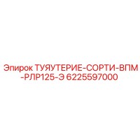 6225597000 ТУЯУТЕРИЕ-СОРТИ-ВПМ-РЛР125-Э Epiroc