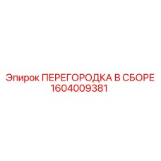 1604009381 ПЕРЕГОРОДКА В СБОРЕ Epiroc