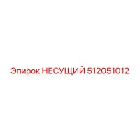 512051012 НЕСУЩИЙ Epiroc