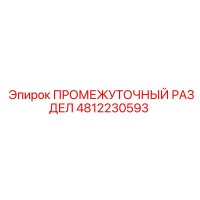 4812230593 ПРОМЕЖУТОЧНЫЙ РАЗДЕЛ Epiroc