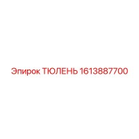 1613887700 ТЮЛЕНЬ Epiroc