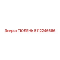 5112246666 Тюлень Epiroc