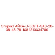 1310034769 ГАЙКА-U-БОЛТ-QAS-28-38-48-78-108 Epiroc