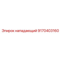 9170403160 нападающий Epiroc