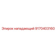 9170403160 нападающий Epiroc