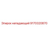 9170320870 нападающий Epiroc