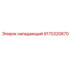 9170320870 нападающий Epiroc