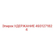 4931271824 УДЕРЖАНИЕ Epiroc