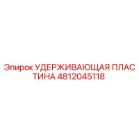 4812045118 УДЕРЖИВАЮЩАЯ ПЛАСТИНА Epiroc