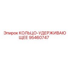 95460747 КОЛЬЦО-УДЕРЖИВАЮЩЕЕ Epiroc