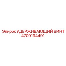4700194491 УДЕРЖИВАЮЩИЙ ВИНТ Epiroc