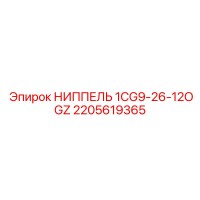 2205619365 НИППЕЛЬ 1CG9-26-12OGZ Epiroc
