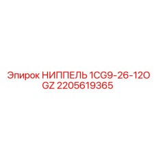 2205619365 НИППЕЛЬ 1CG9-26-12OGZ Epiroc