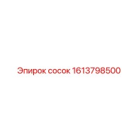 1613798500 сосок Epiroc