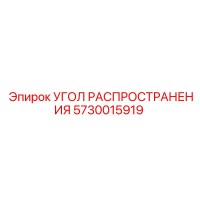 5730015919 УГОЛ РАСПРОСТРАНЕНИЯ Epiroc