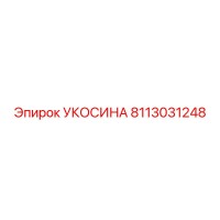 8113031248 УКОСИНА Epiroc