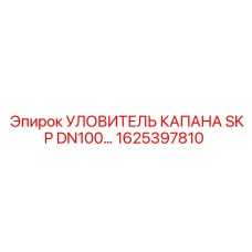 1625397810 УЛОВИТЕЛЬ КАПАНА SKP DN100… Epiroc