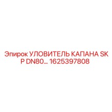 1625397808 УЛОВИТЕЛЬ КАПАНА SKP DN80… Epiroc