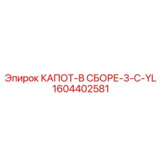 1604402581 КАПОТ-В СБОРЕ-3-C-YL Epiroc