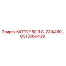 GS13069439 МОТОР 50 Л.С. 230/460 Epiroc
