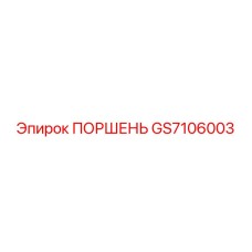 GS7106003 ПОРШЕНЬ Epiroc