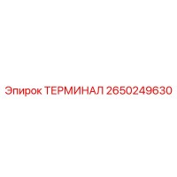 2650249630 ТЕРМИНАЛ Epiroc