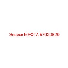 57920829 МУФТА Epiroc