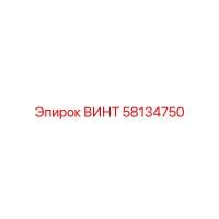 58134750 ВИНТ Epiroc