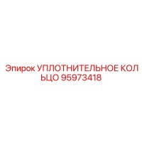 95973418 УПЛОТНИТЕЛЬНОЕ КОЛЬЦО Epiroc