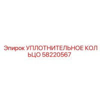 58220567 УПЛОТНИТЕЛЬНОЕ КОЛЬЦО Epiroc