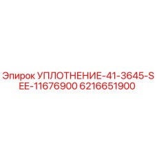6216651900 УПЛОТНЕНИЕ-41-3645-SEE-11676900 Epiroc
