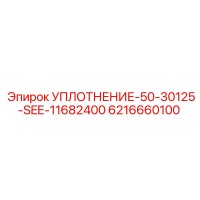 6216660100 УПЛОТНЕНИЕ-50-30125-SEE-11682400 Epiroc