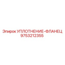 9753212355 УПЛОТНЕНИЕ-ФЛАНЕЦ Epiroc