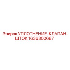 1636300687 УПЛОТНЕНИЕ-КЛАПАН-ШТОК Epiroc