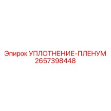2657398448 УПЛОТНЕНИЕ-ПЛЕНУМ Epiroc